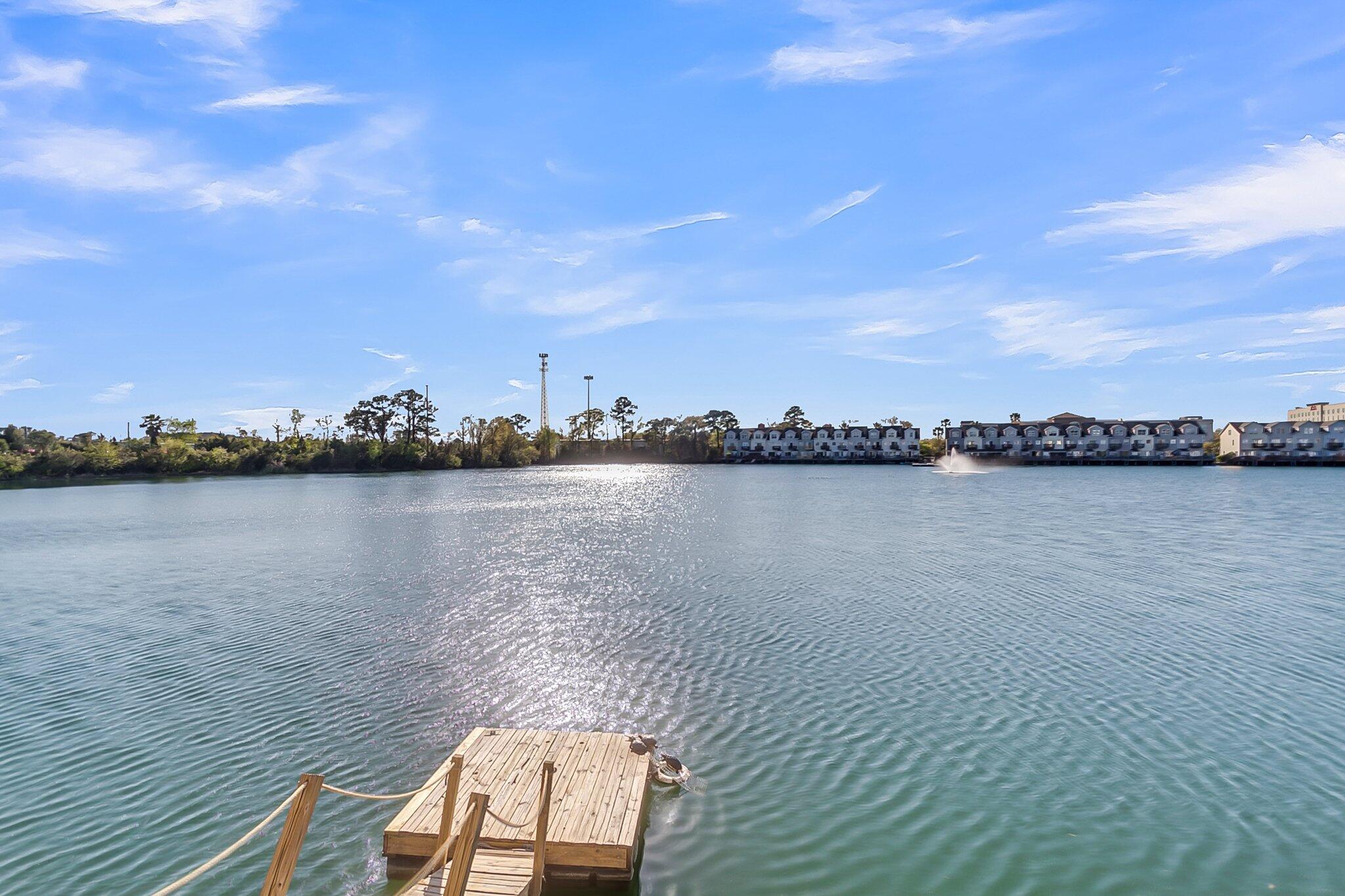 4913 Lake Palmetto Lane