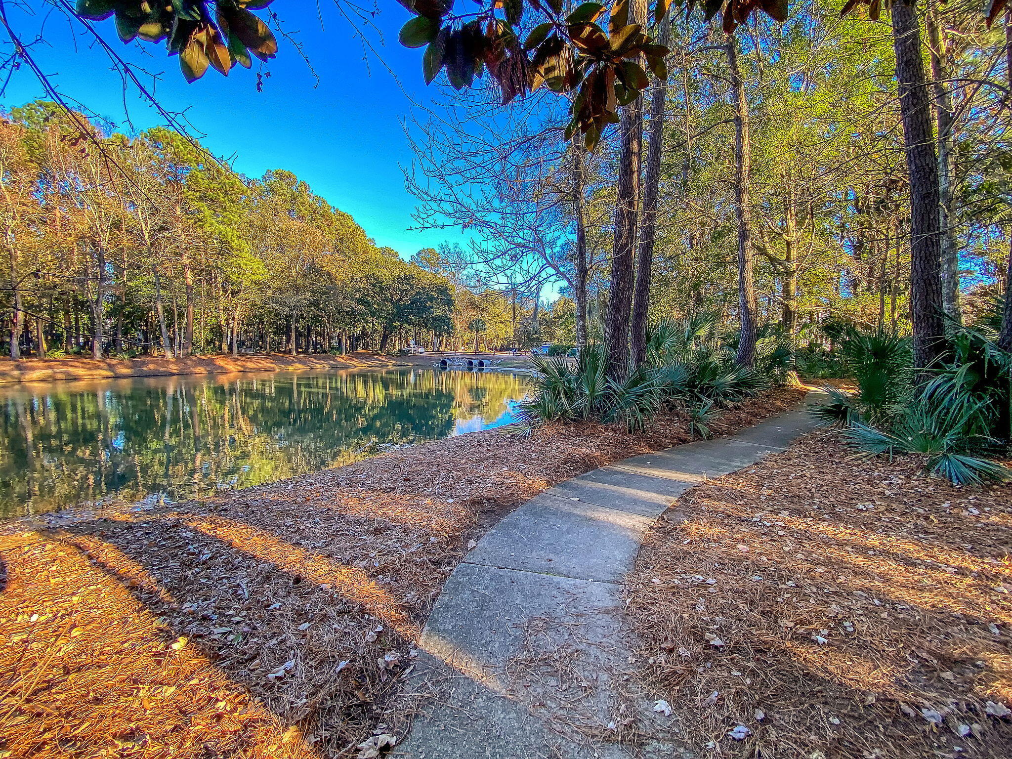 2373 Cross Timbers Drive