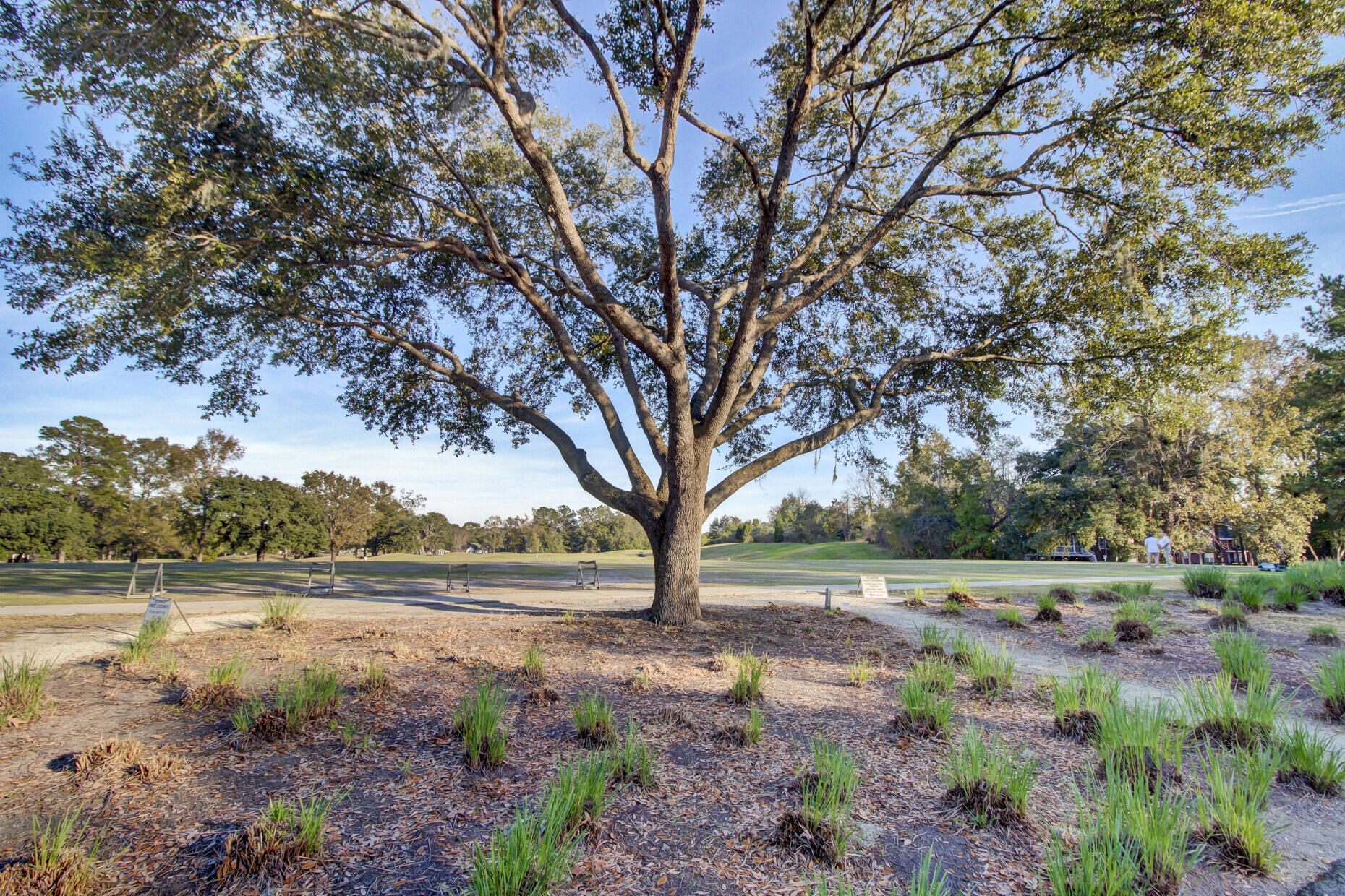 172 Thousand Oaks Circle