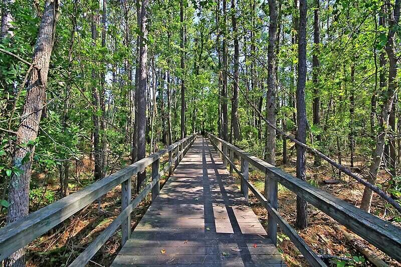 3231 Sand Marsh Lane