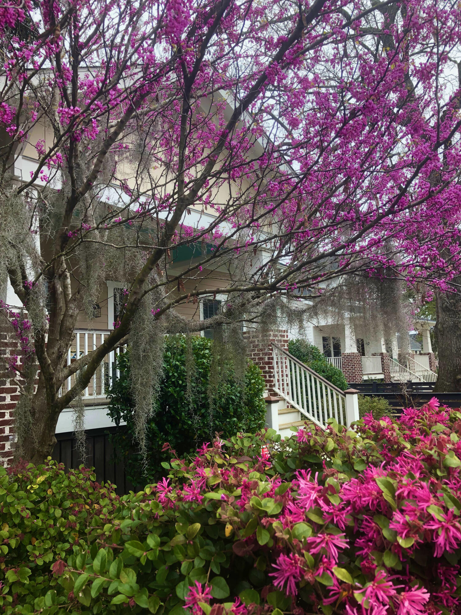 5141 E East Liberty Park Circle