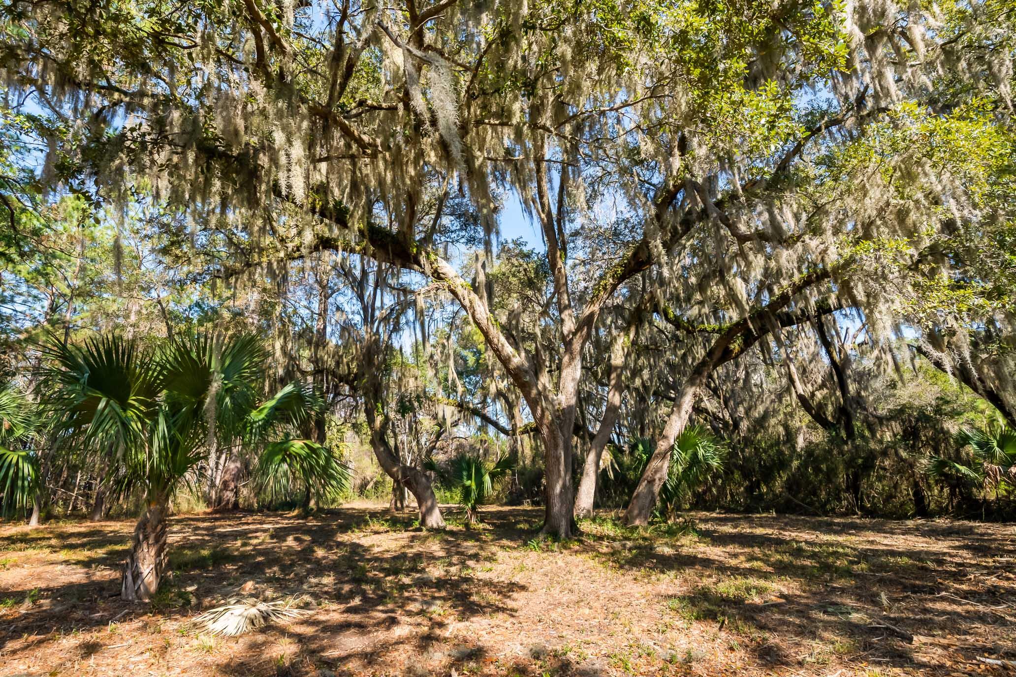 1824 Back Forty Road
