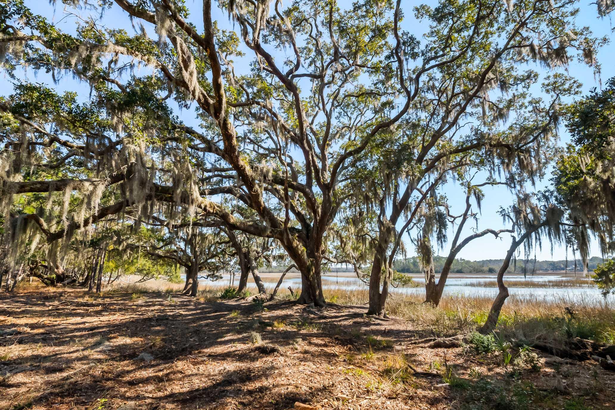 1824 Back Forty Road