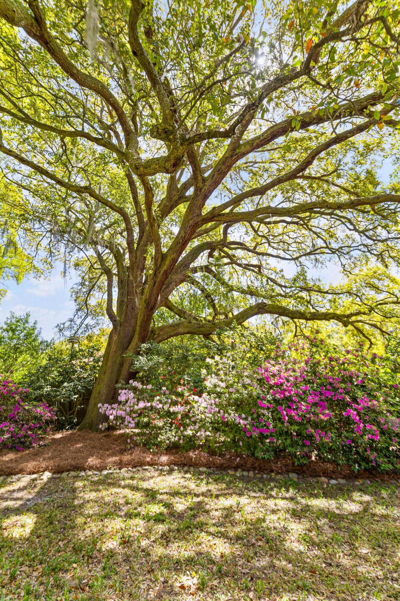 2169 Westrivers Road