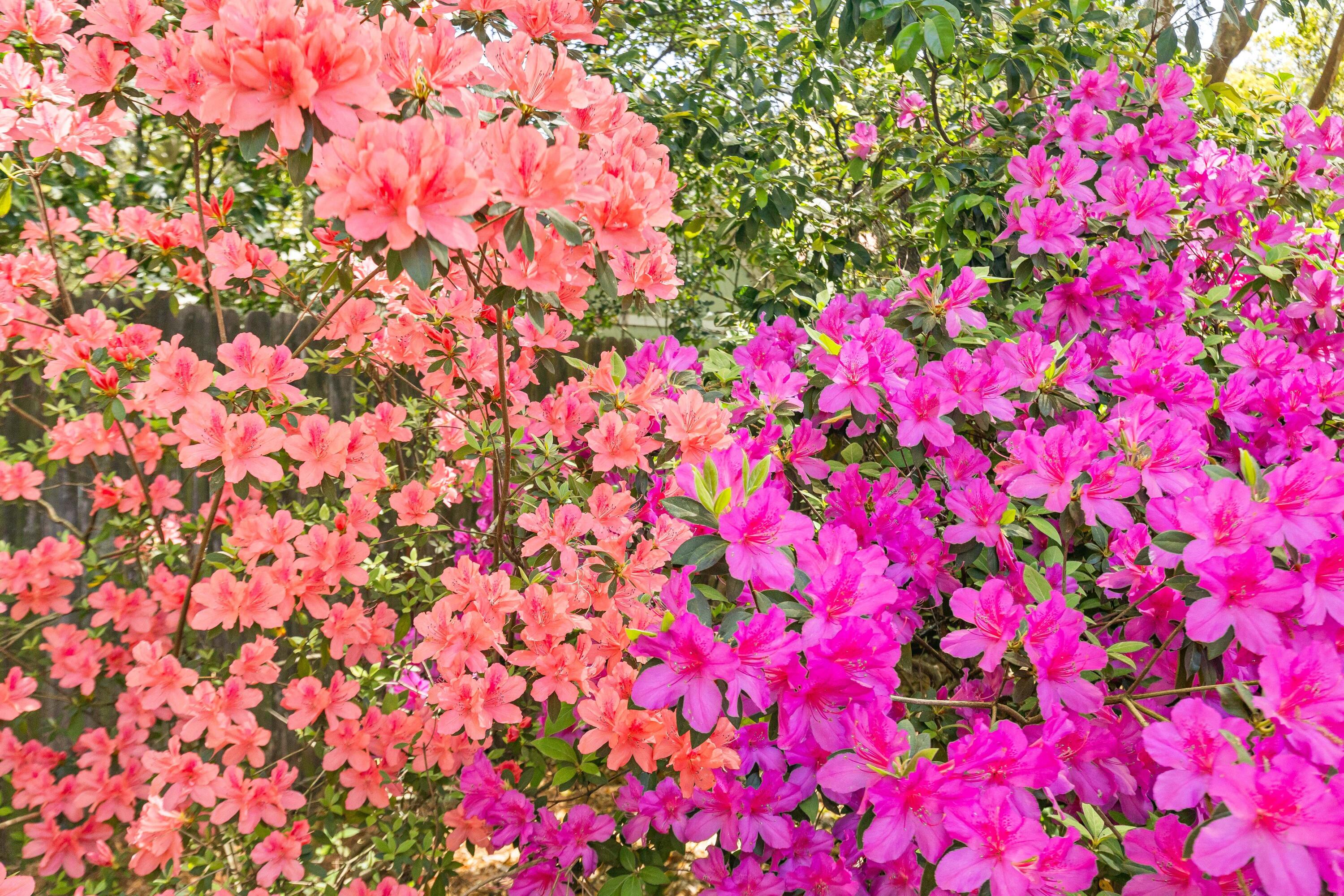 2169 Westrivers Road