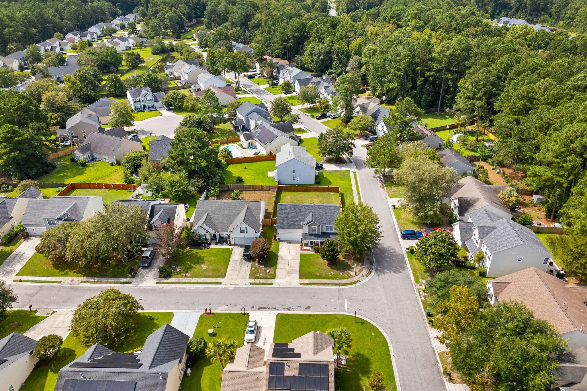 100 Towering Pine Drive