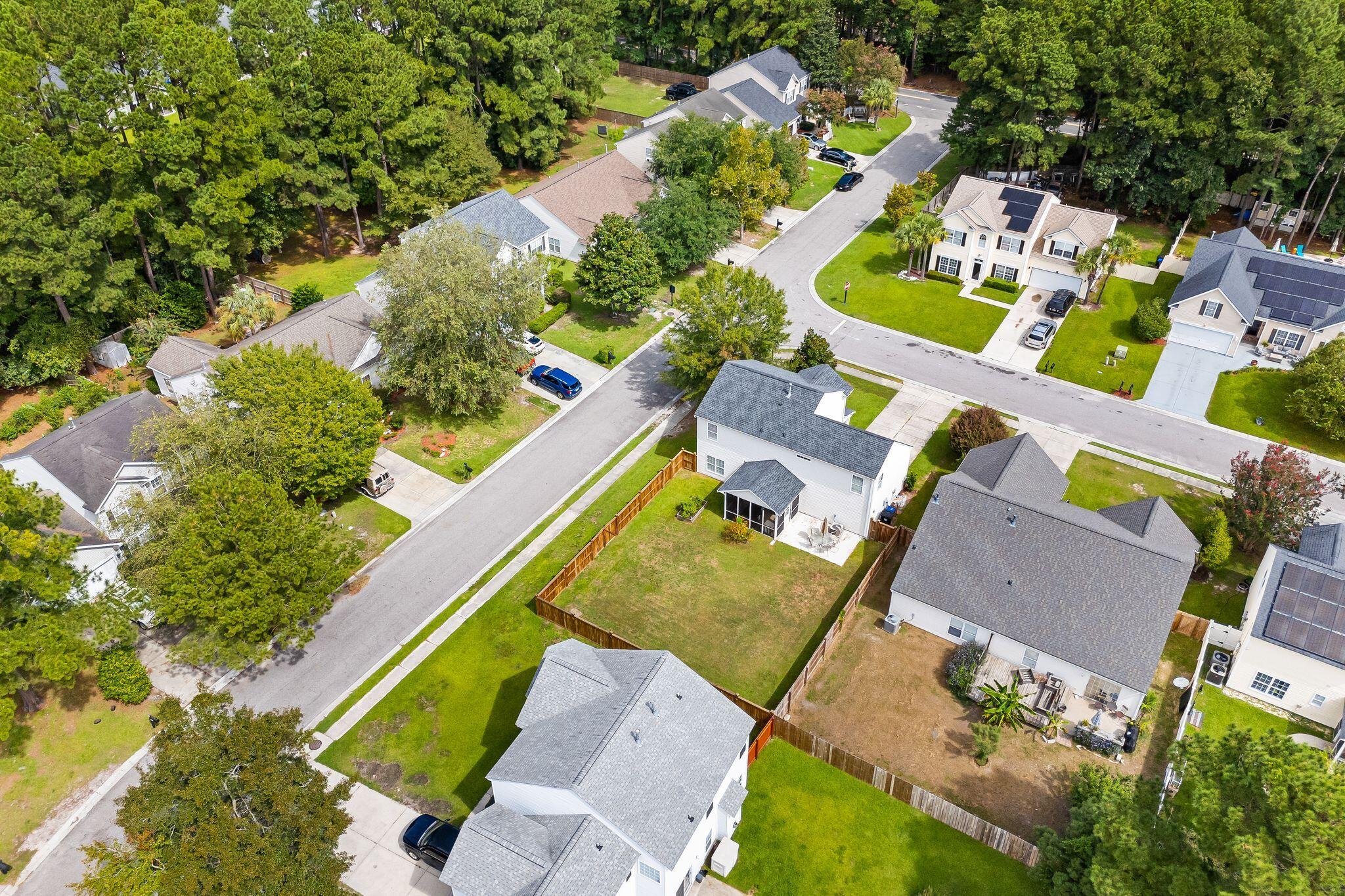 100 Towering Pine Drive