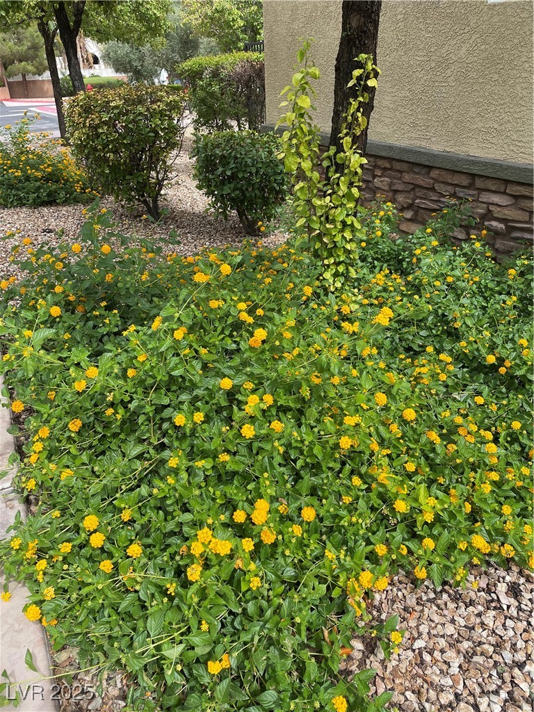 8324 West Charleston Boulevard 2039