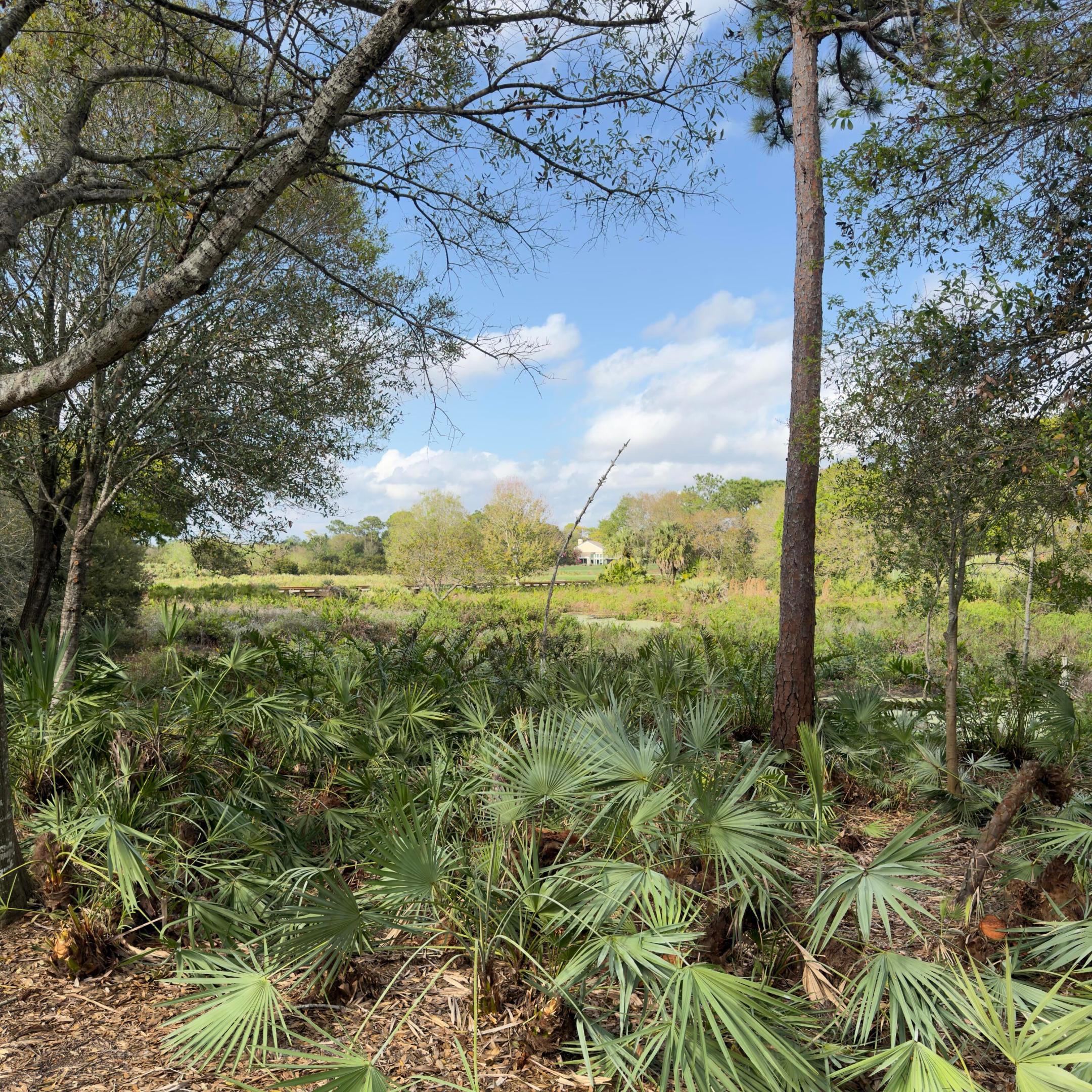 1828 NW Buttonbush Circle