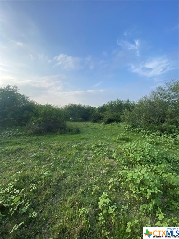 TBD Wolf Hartman Road