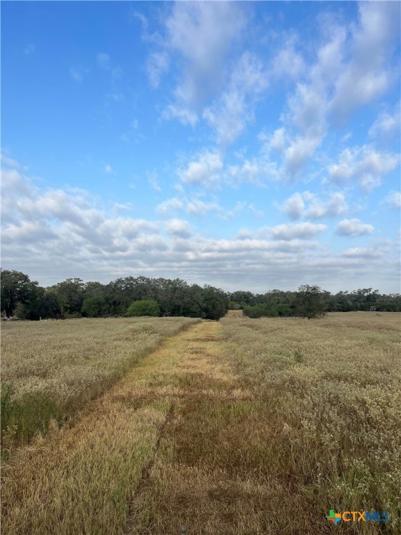 4312 Thomaston River Road