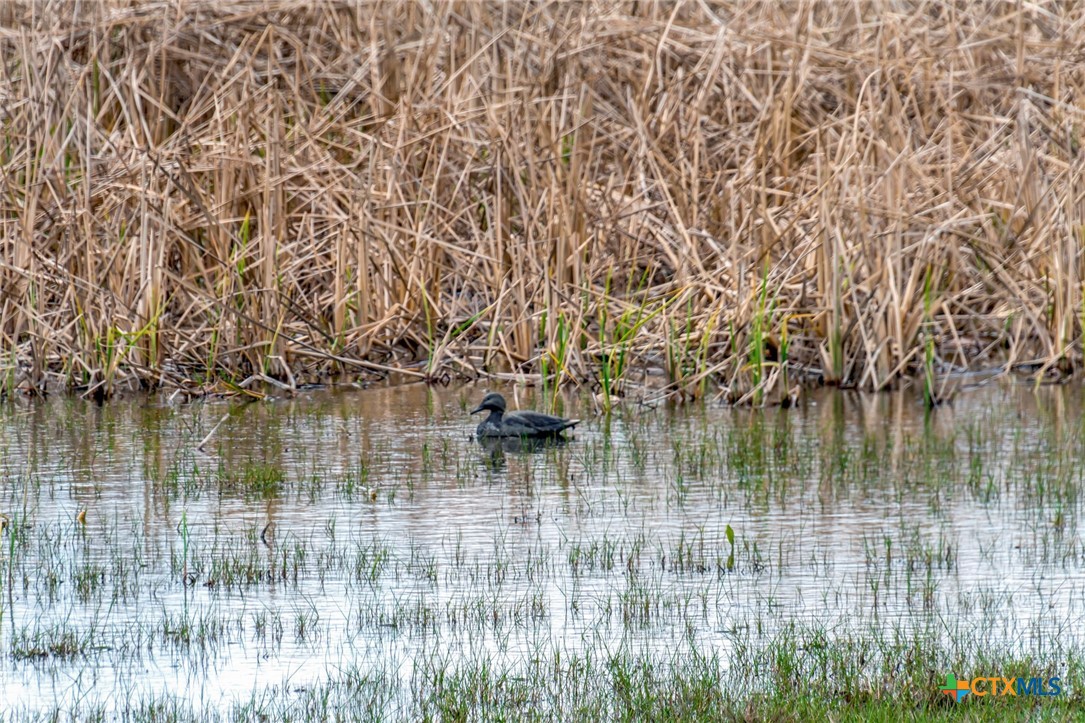 8036 State Highway 316