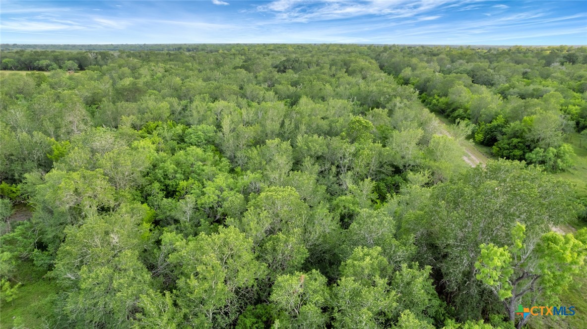 000 San Antonio River Road