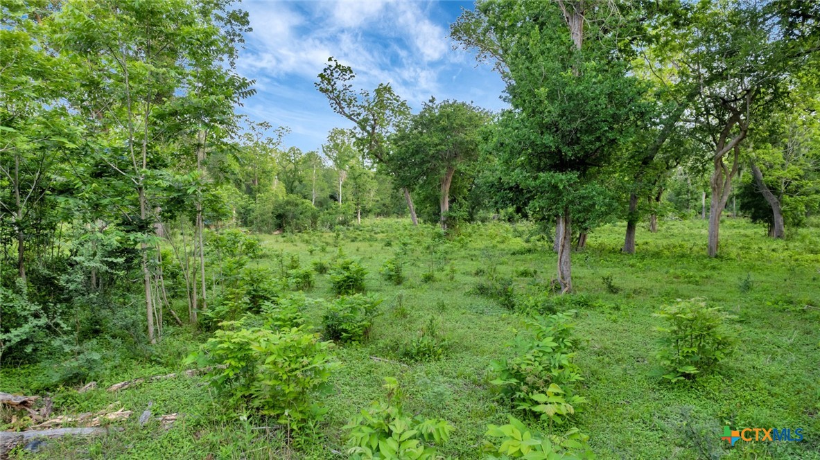 000 San Antonio River Road