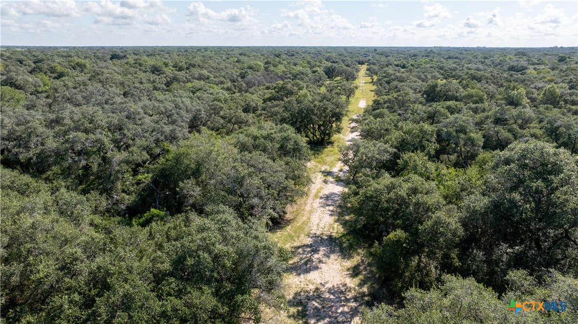 000 Pura Vida Road