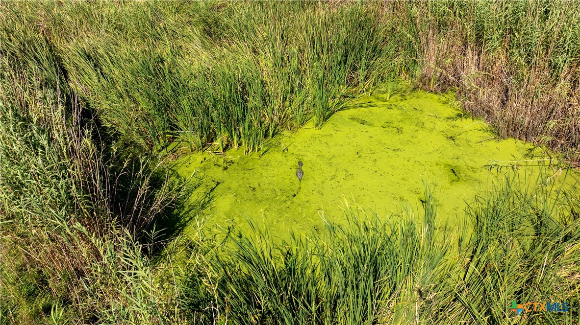 8036 State Highway 316