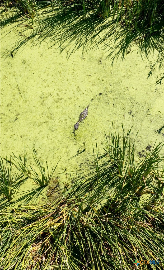 8036 State Highway 316