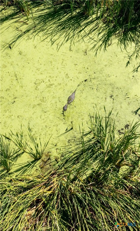 8036 State Highway 316