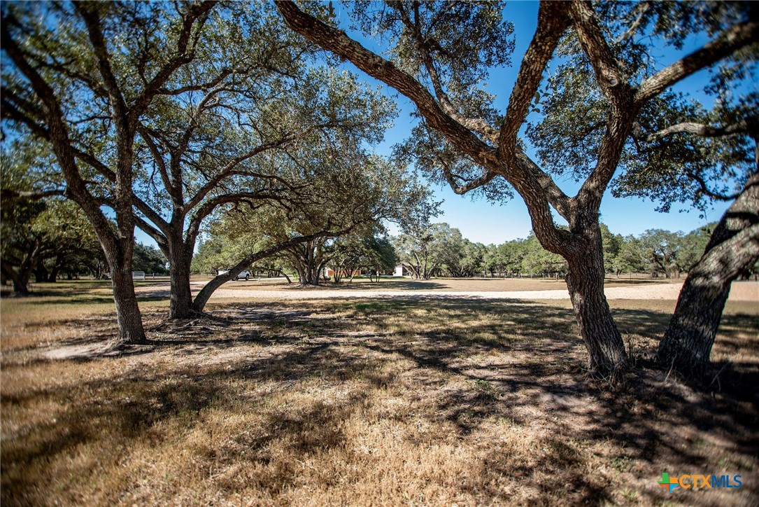437 Bischoff Road