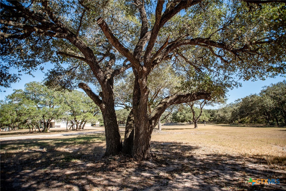 437 Bischoff Road