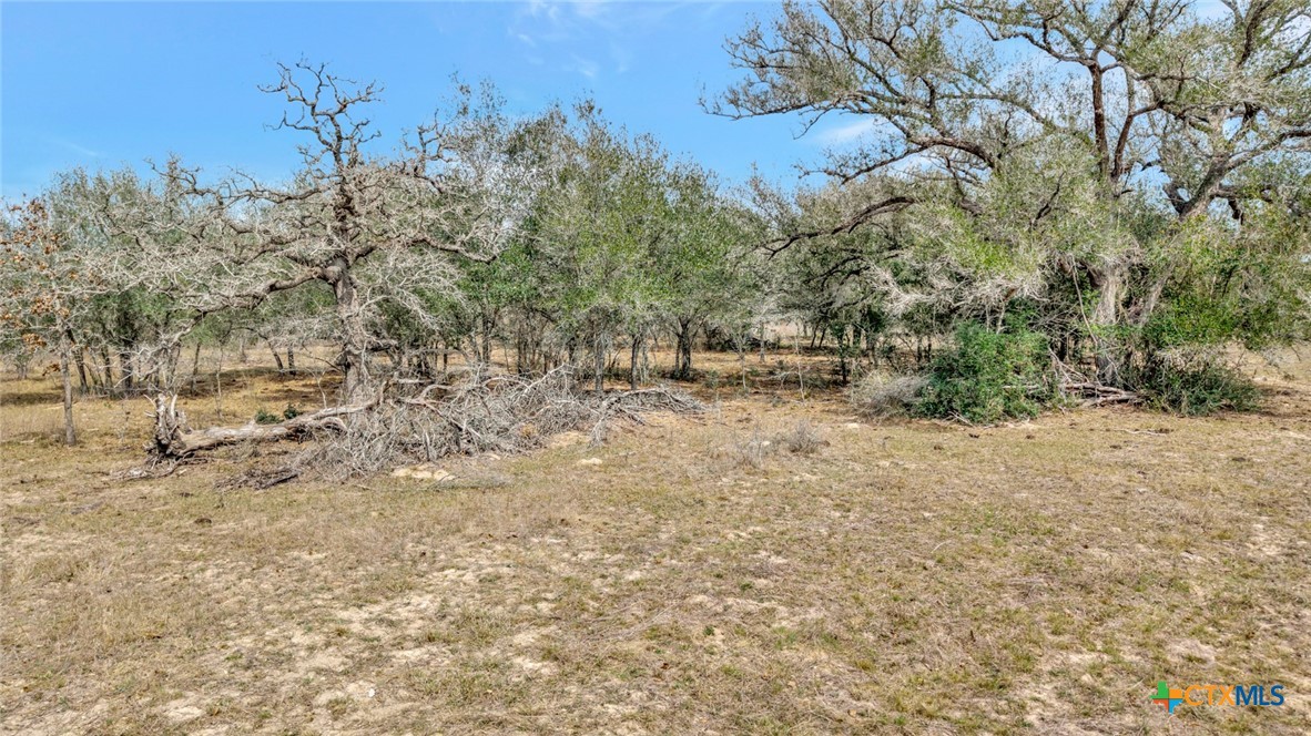 1103 Berger Road