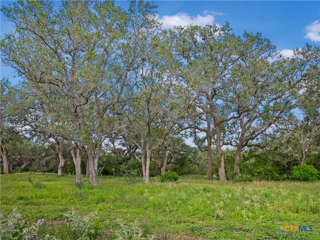 5394 FM 237