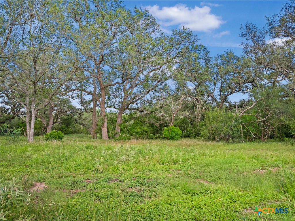 5394 FM 237