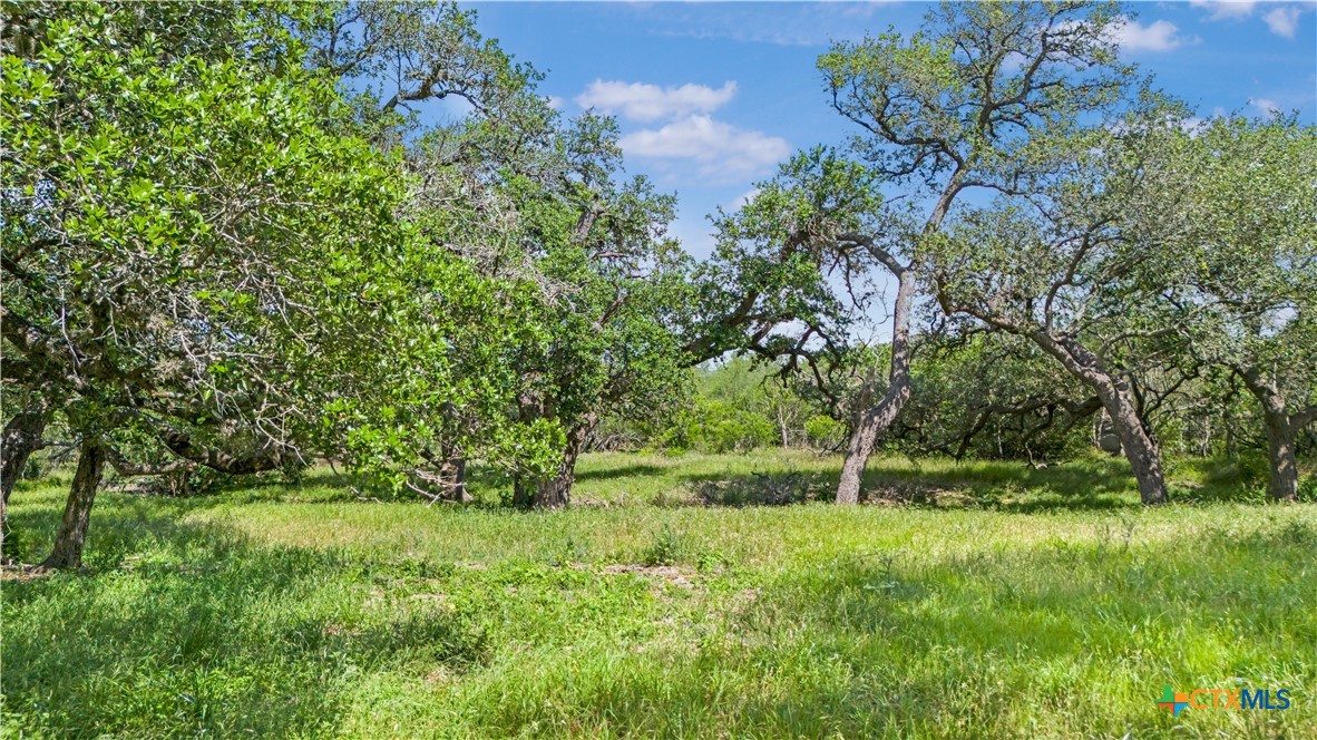 5394 FM 237