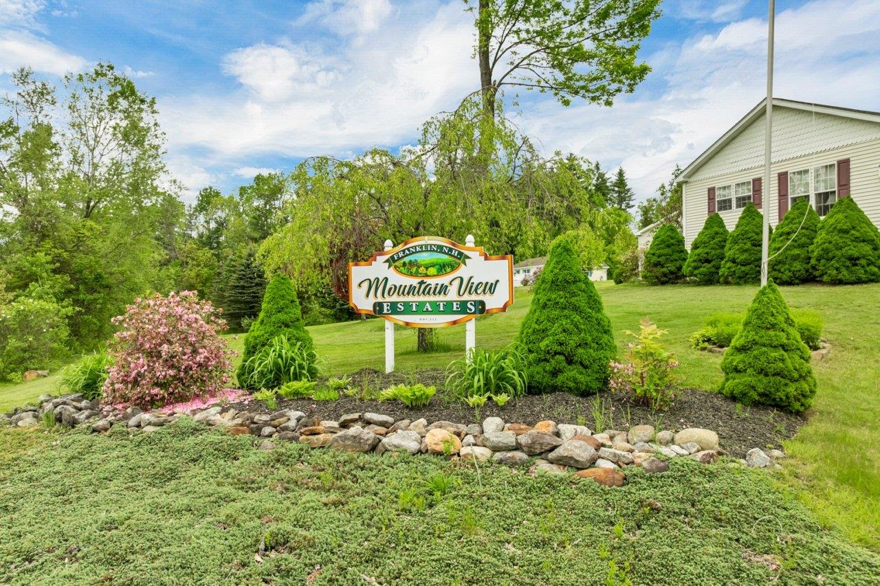 4 Dynamic View Drive