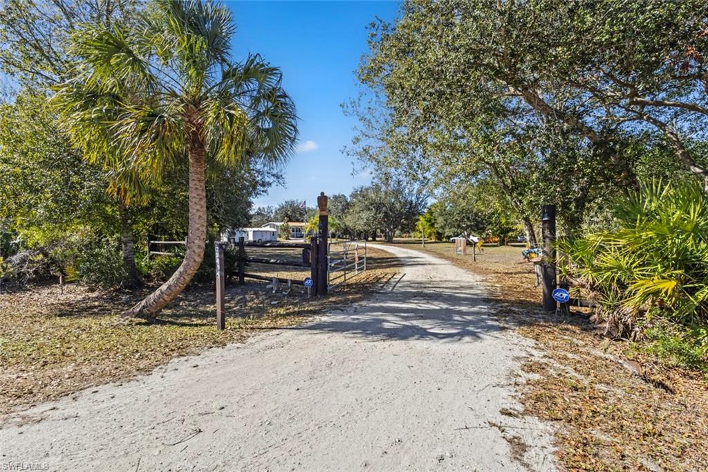 29414 Pine Villa CIR