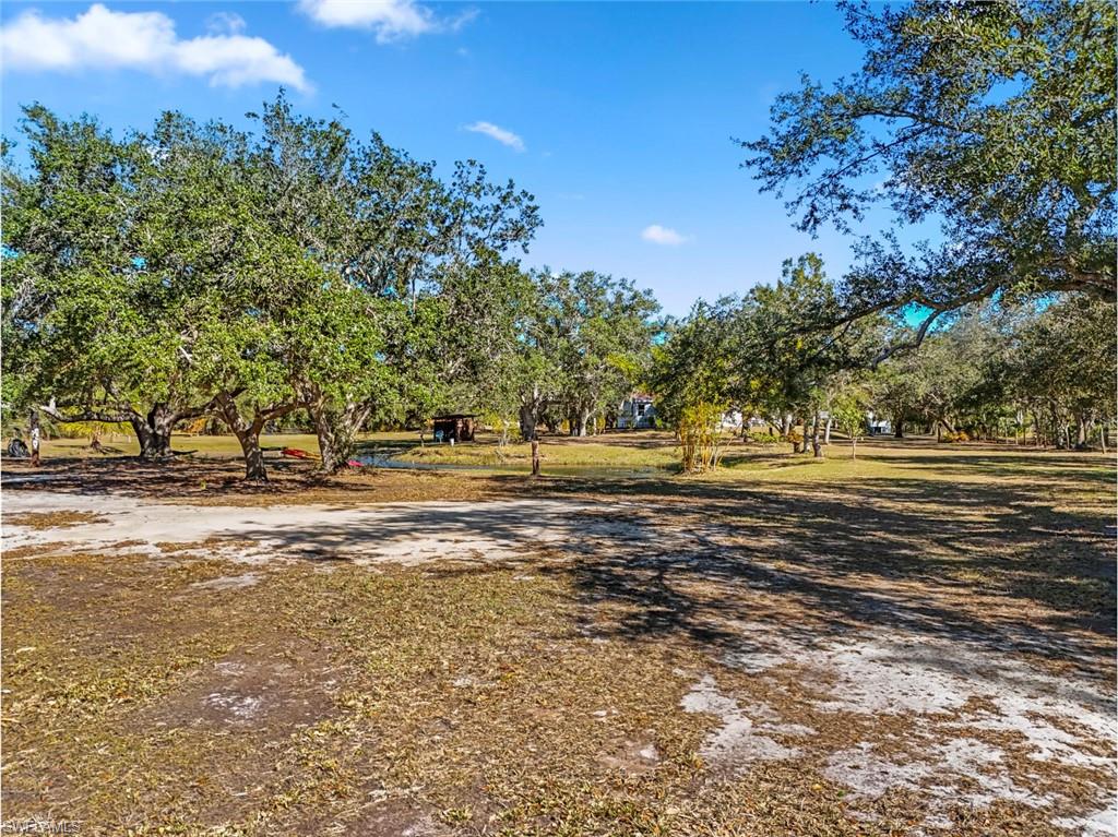 29414 Pine Villa CIR