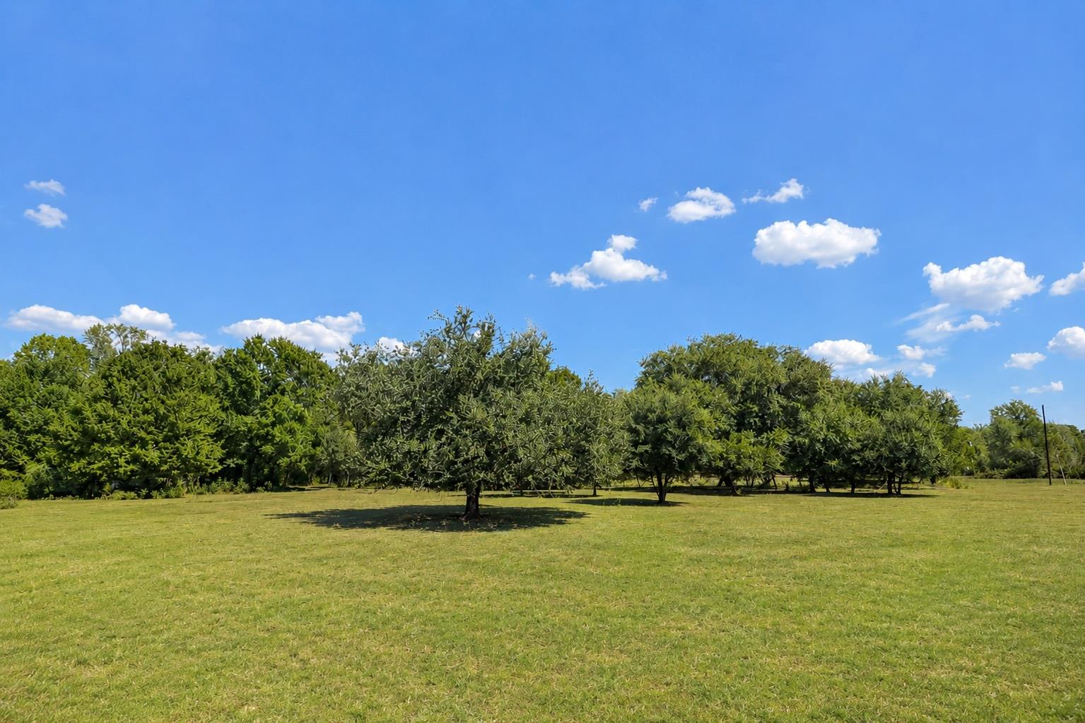 3995 COUNTY ROAD 405