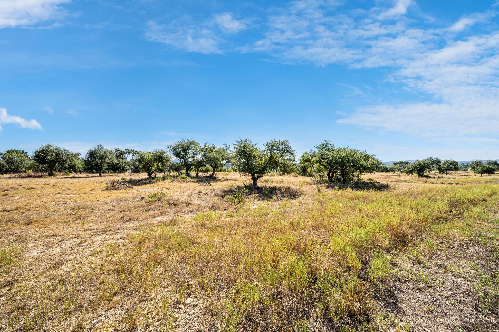 199 Flat Rock WAY, Johnson City