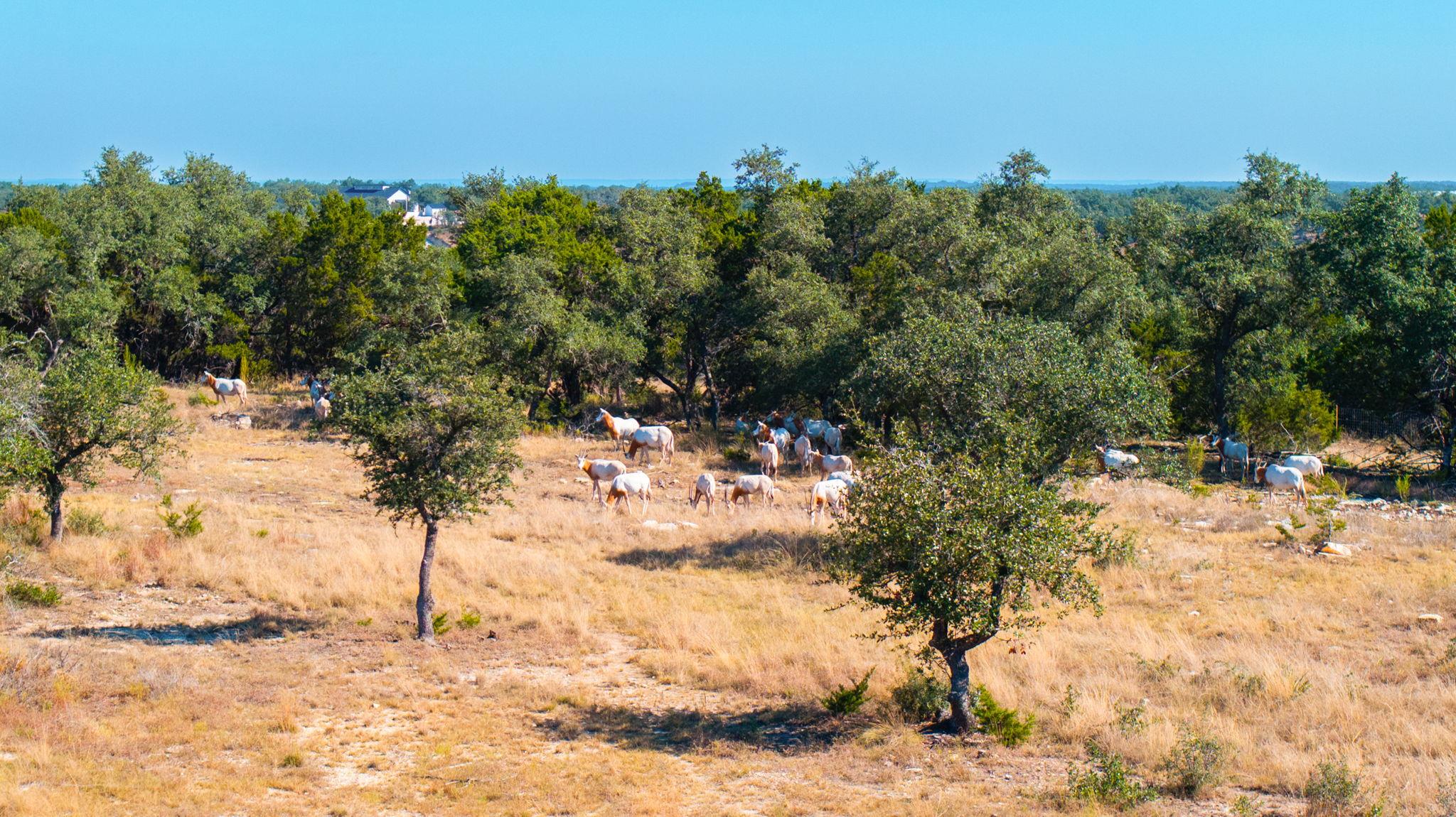 199 Flat Rock WAY, Johnson City