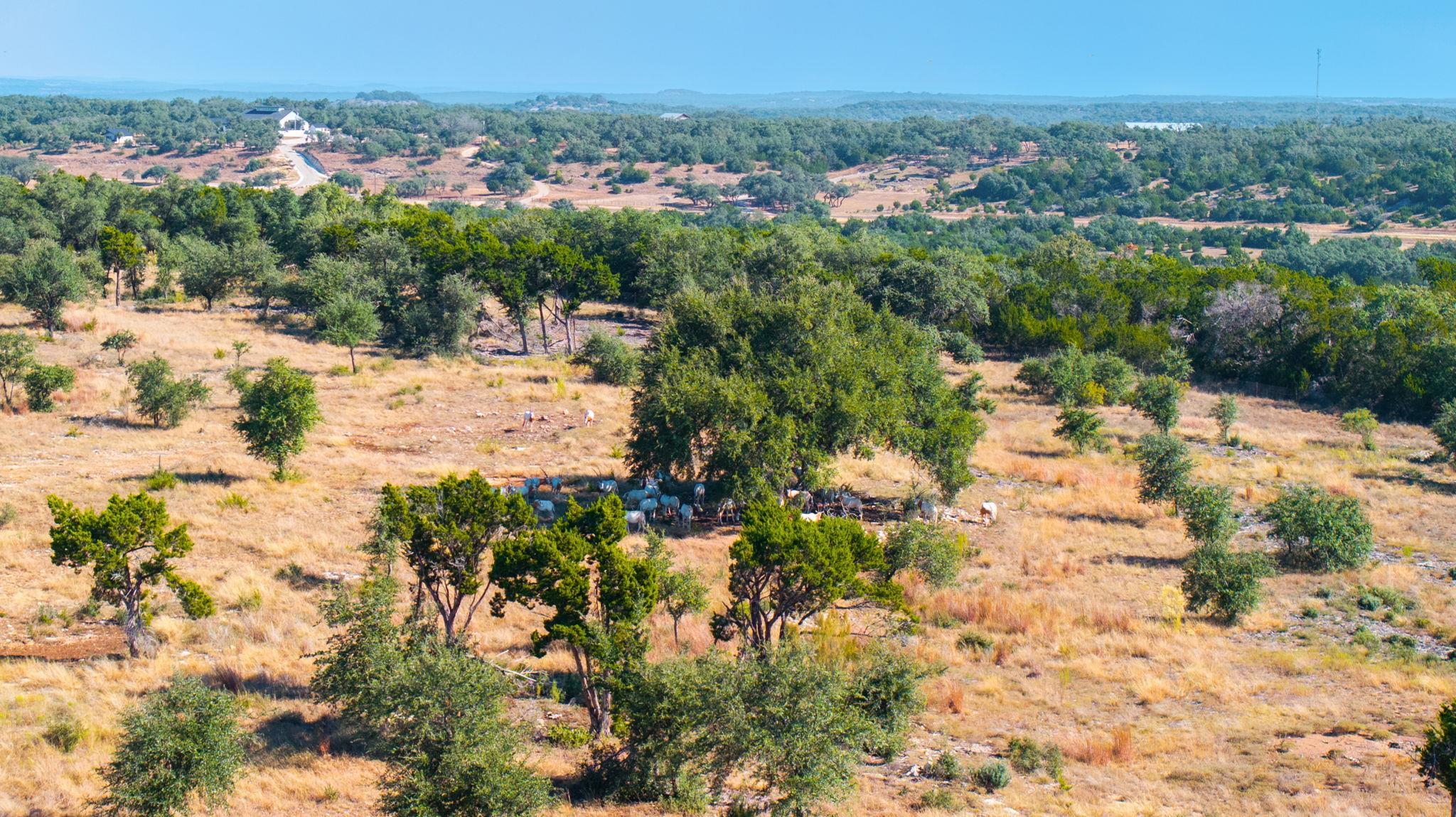 199 Flat Rock WAY, Johnson City