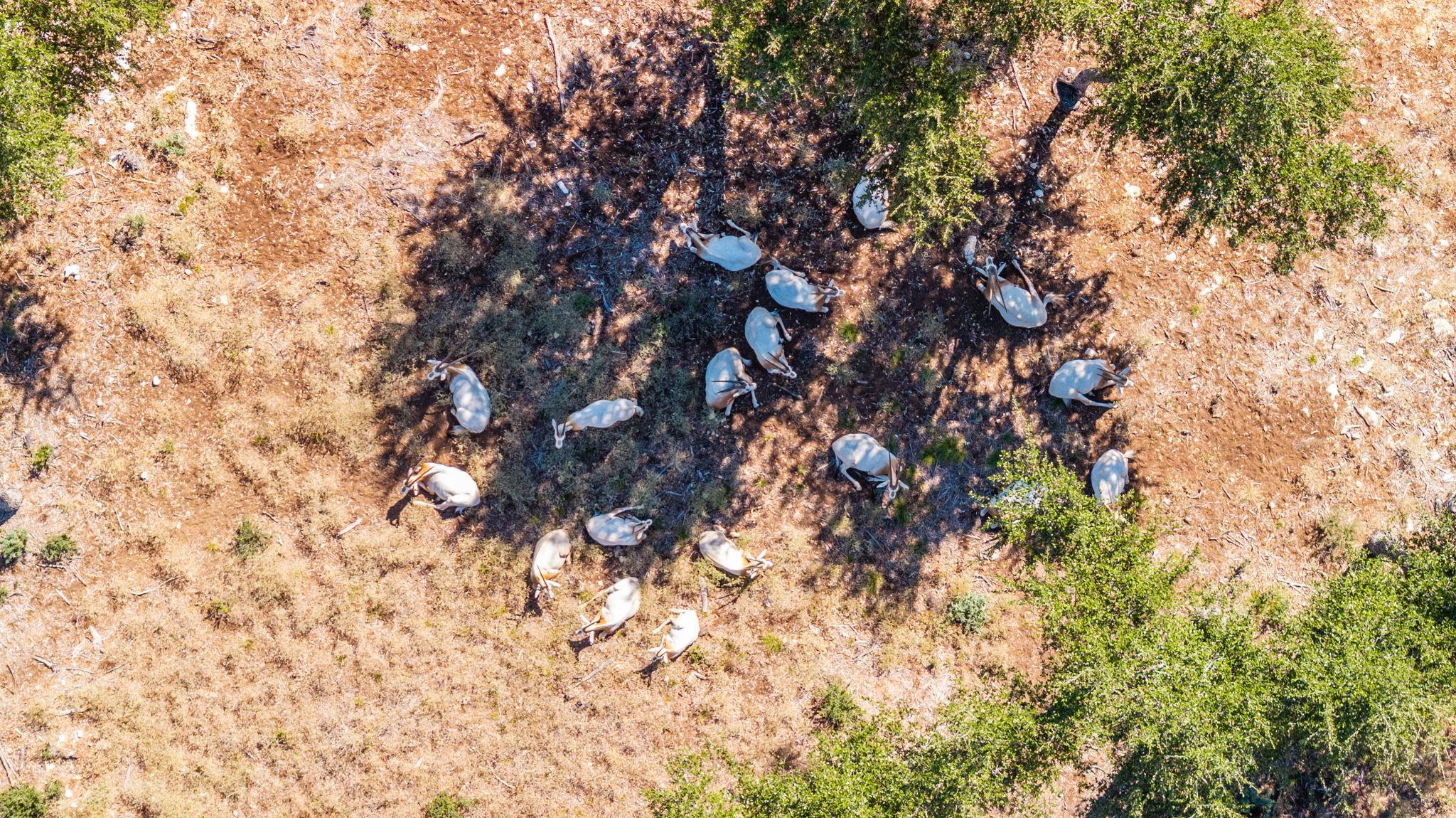 199 Flat Rock WAY, Johnson City