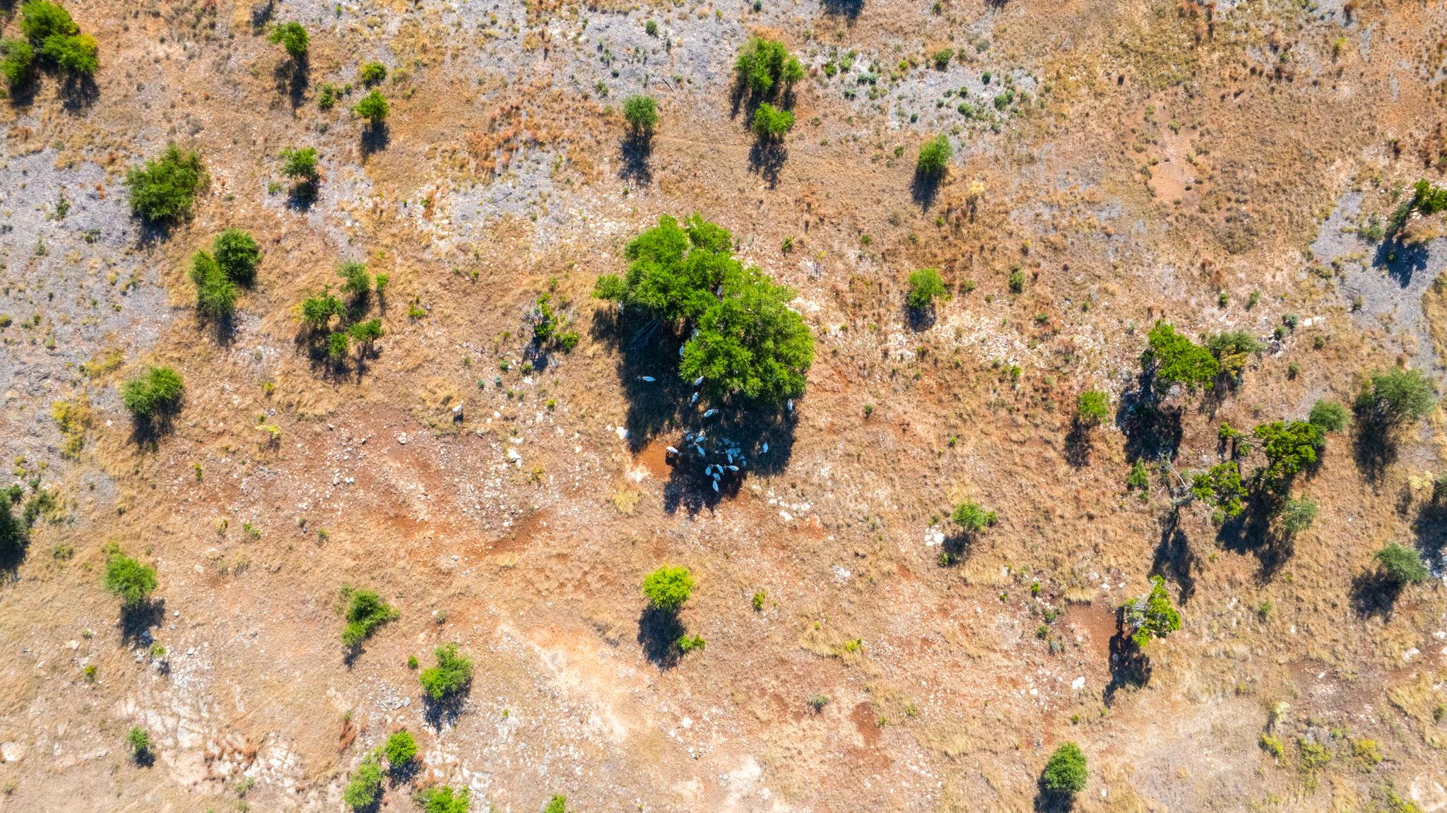 199 Flat Rock WAY, Johnson City