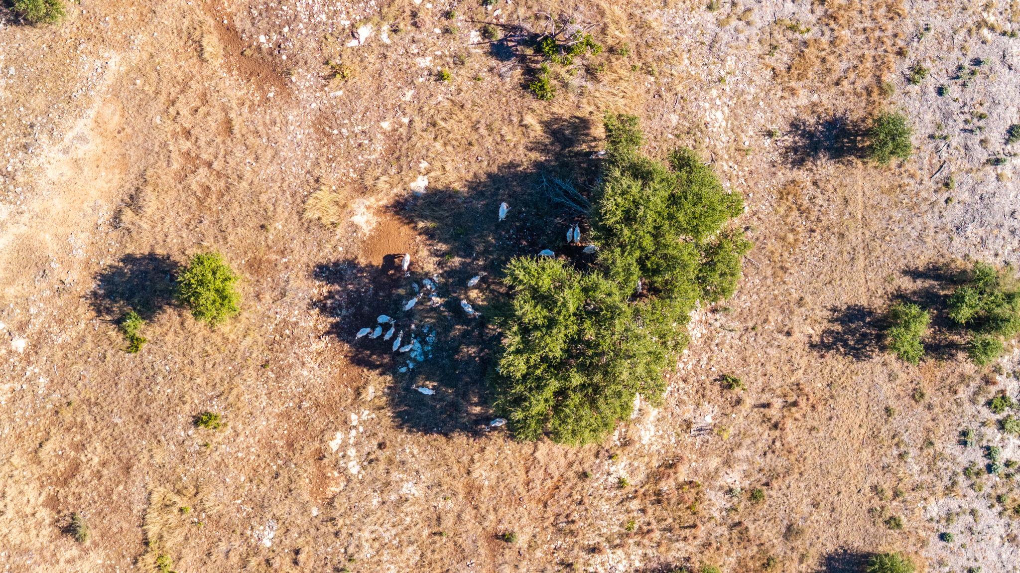 199 Flat Rock WAY, Johnson City