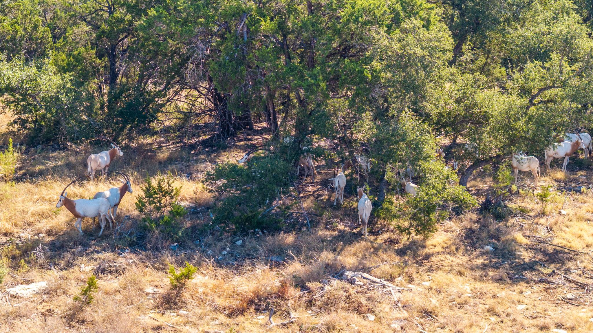 199 Flat Rock WAY, Johnson City