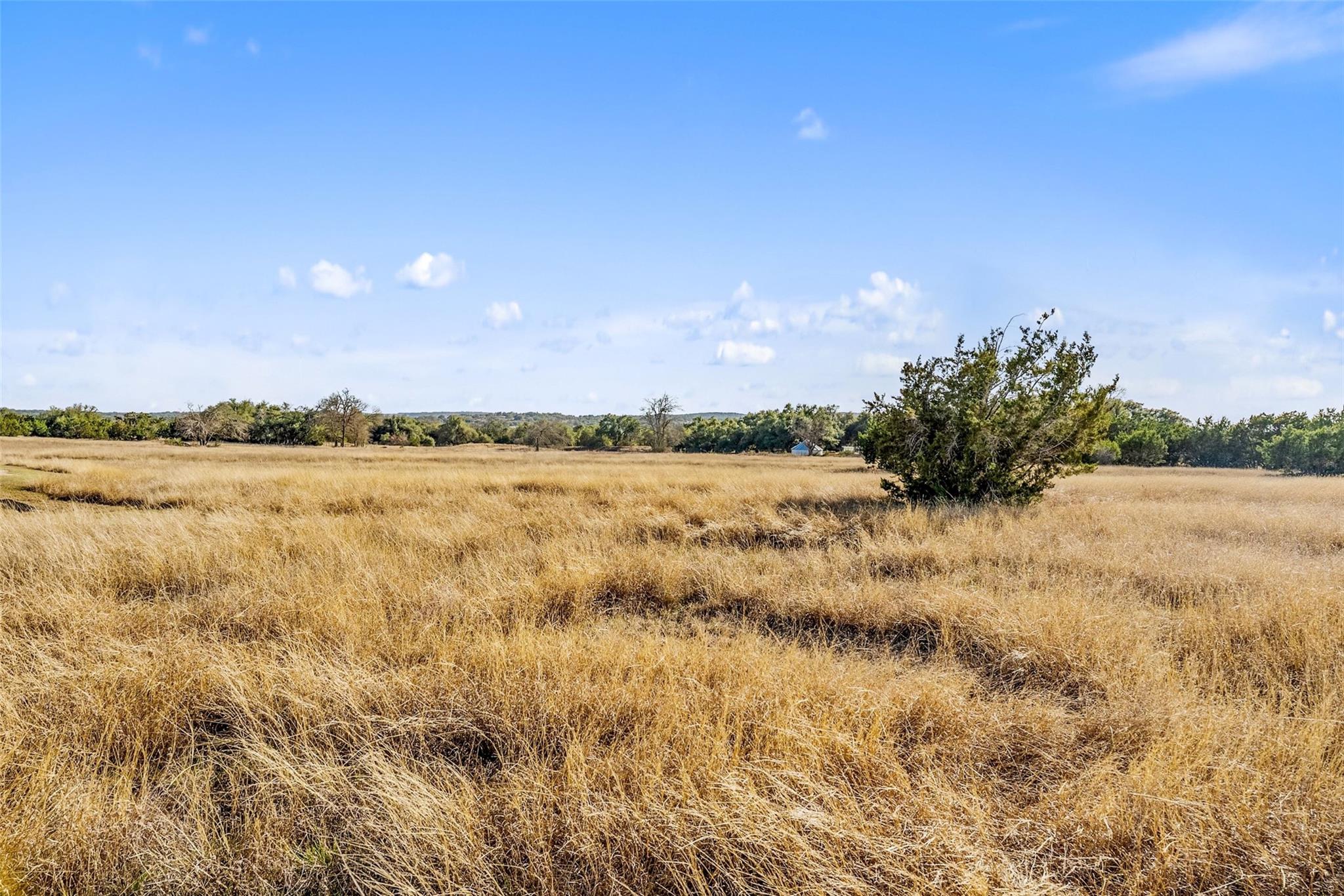 Cricket Hill Ranch Estate on Creek Rd