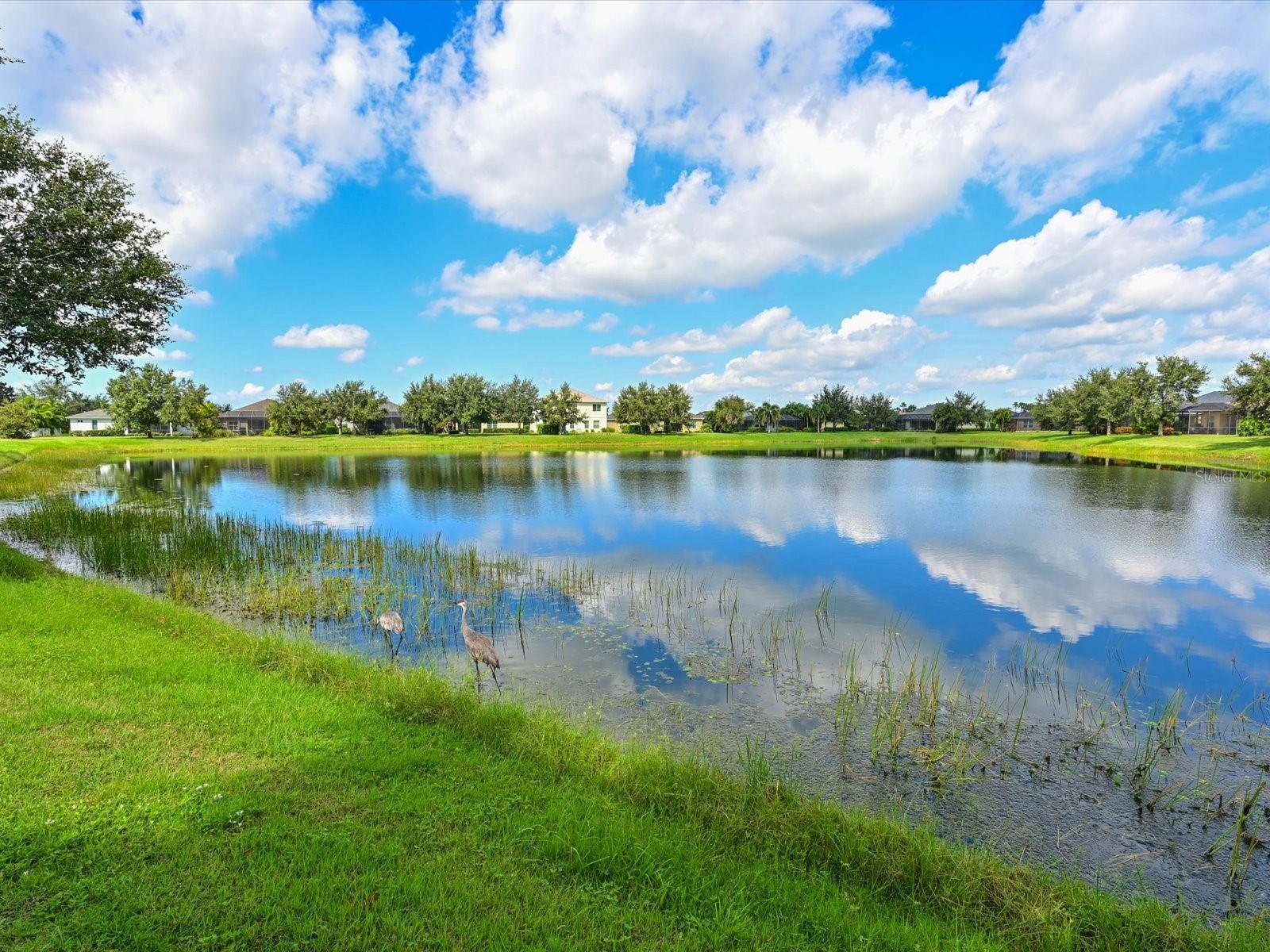 11907 FOREST PARK CIR