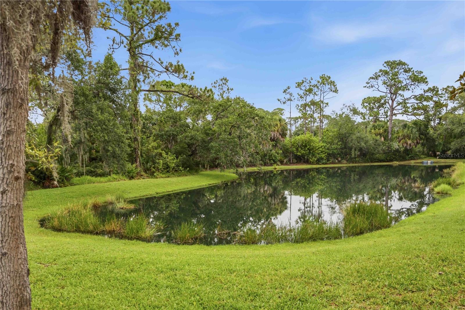 903 TRANQUILITY CIR