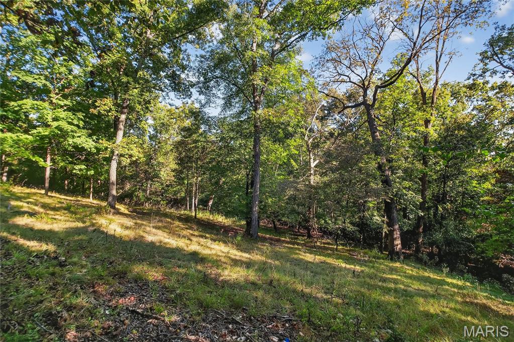 1413 Mayapple Trail