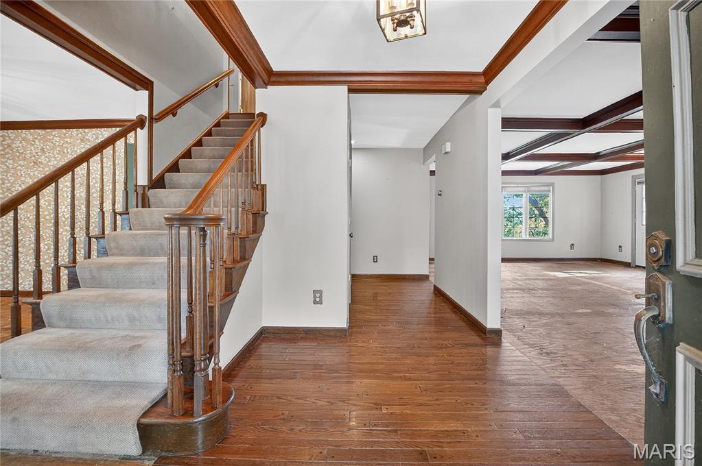 1413 Mayapple Trail