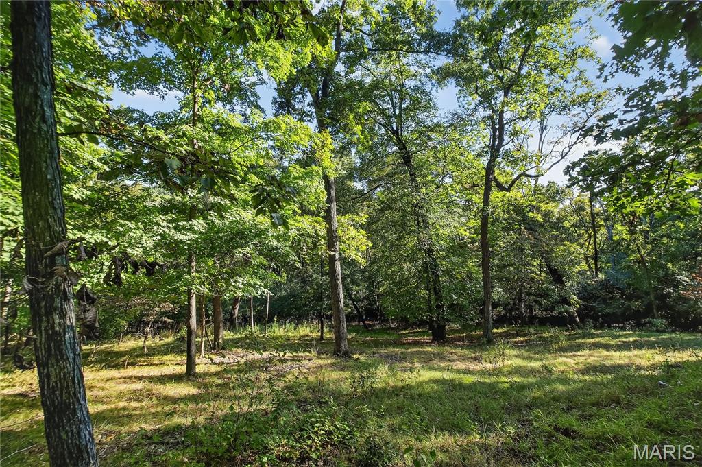 1413 Mayapple Trail