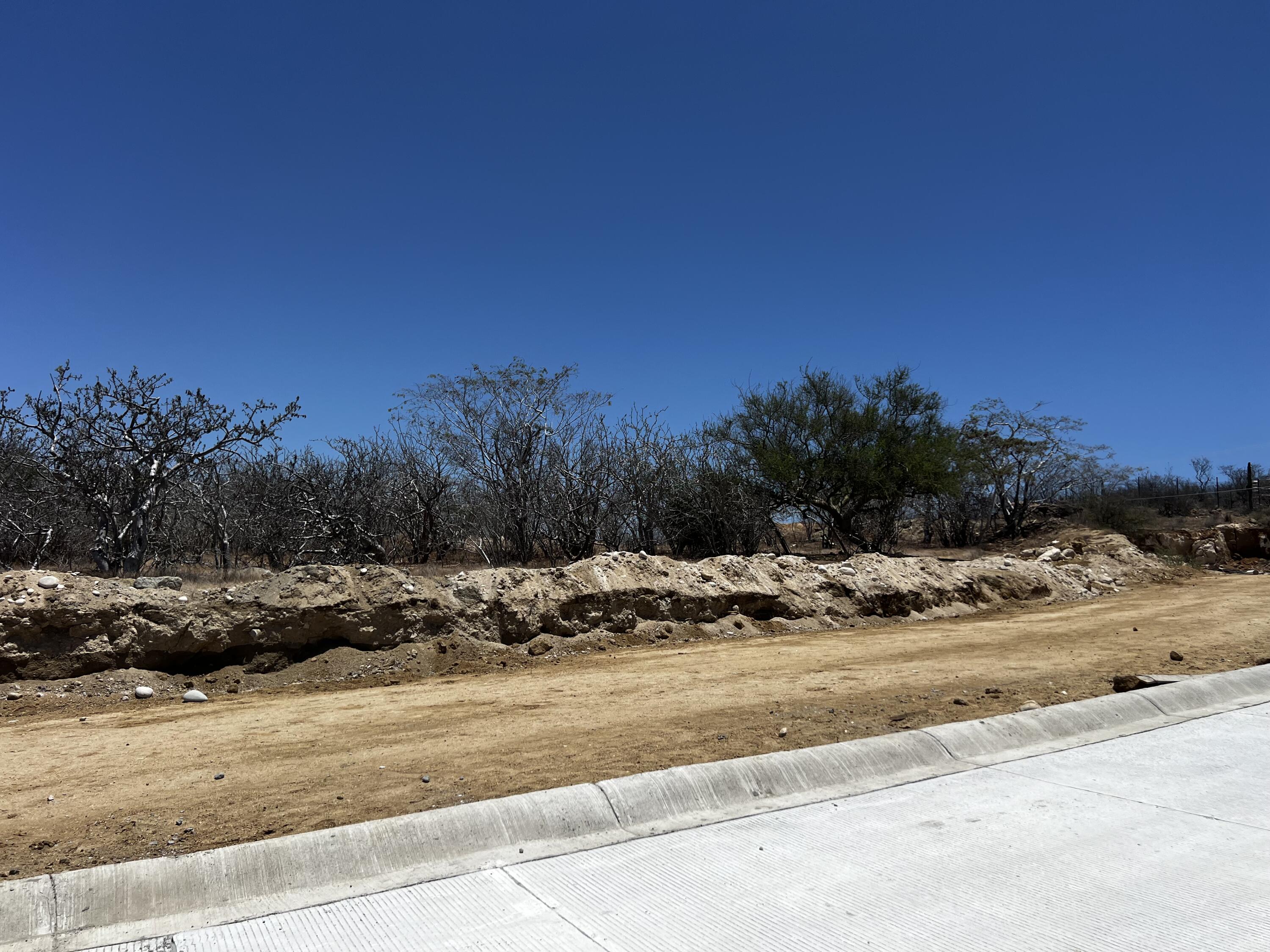 Avenida Salvatierra, Fundadores