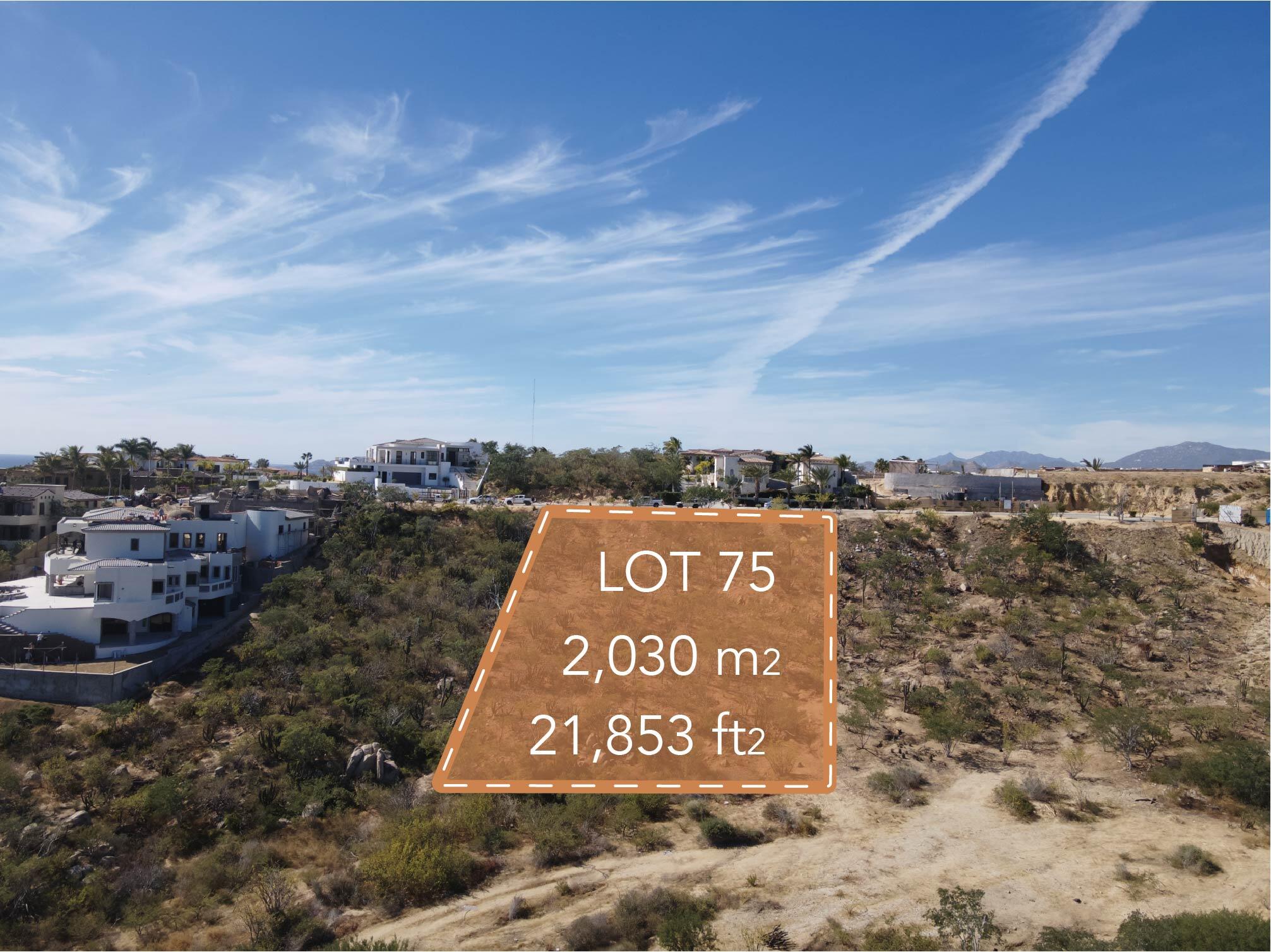 75 Calle Mision Santo Thomas