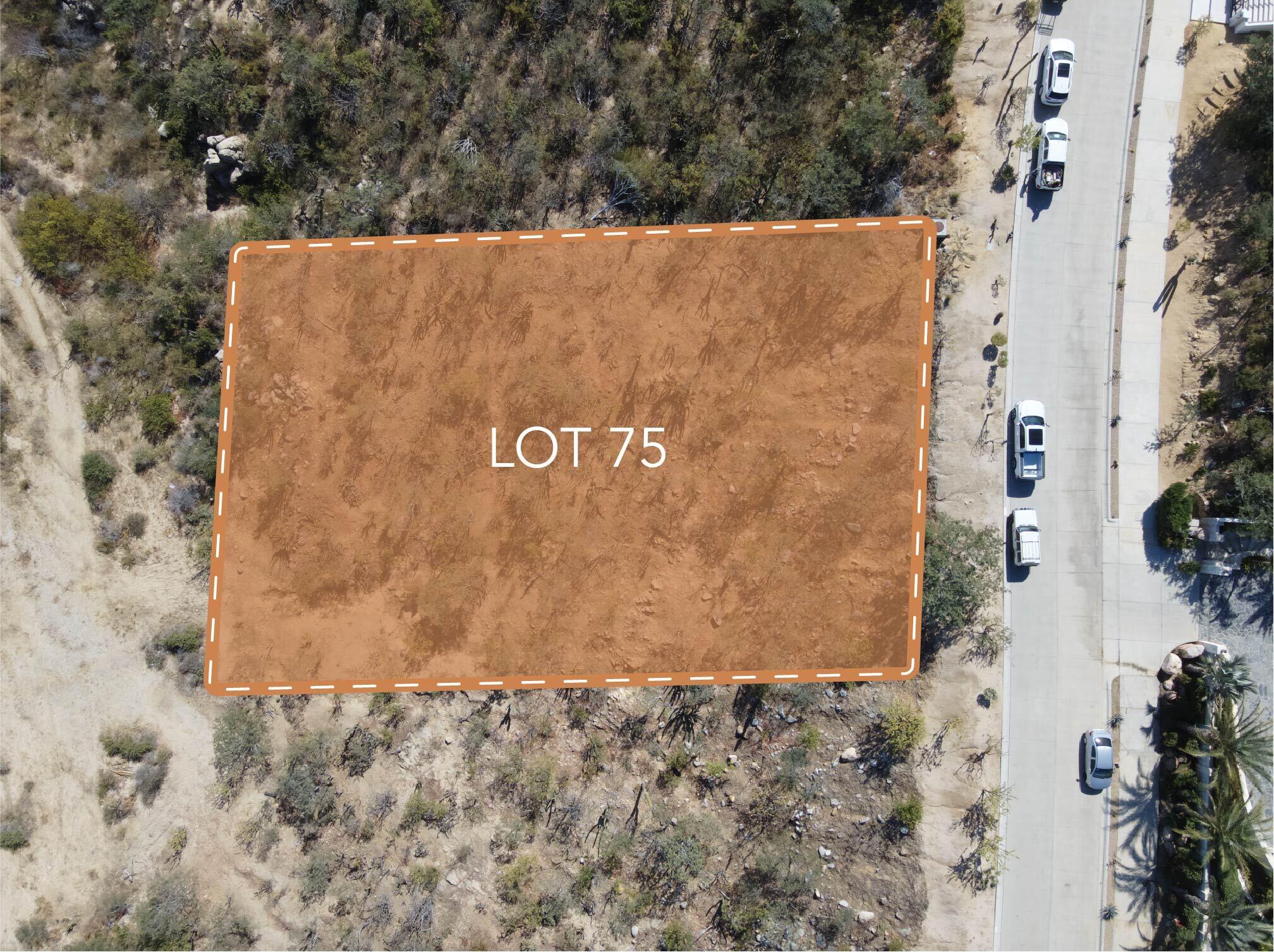75 Calle Mision Santo Thomas