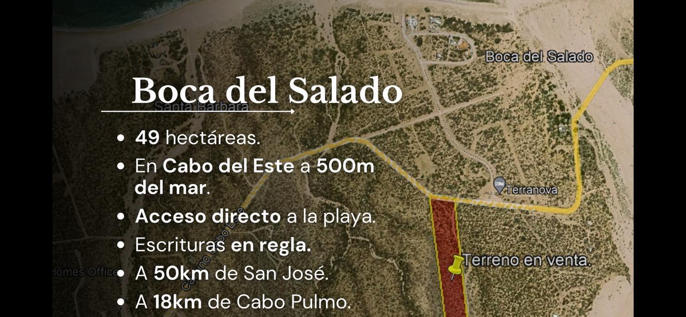 Lot D, Boca del Salado