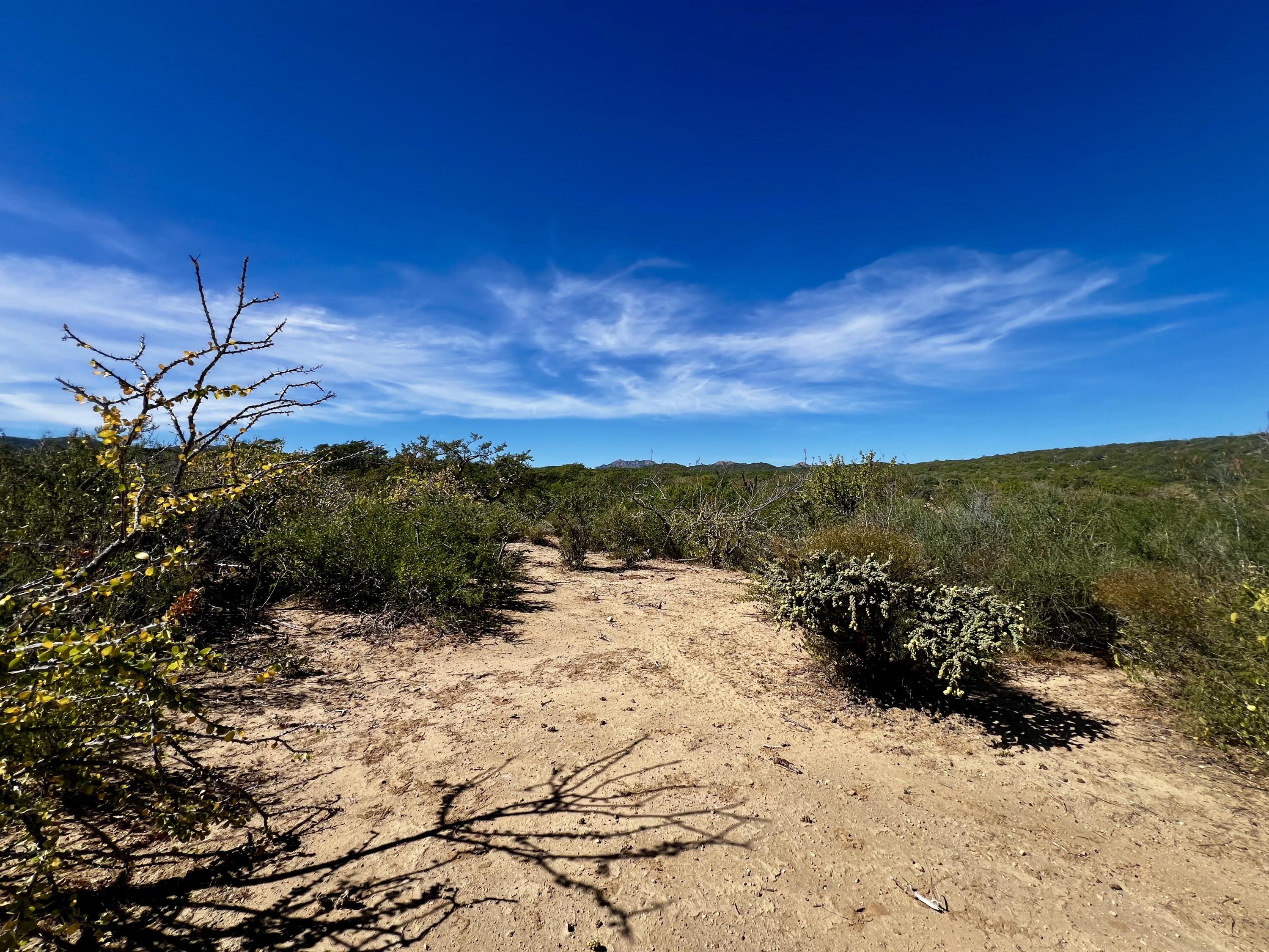 Lot D, Boca del Salado